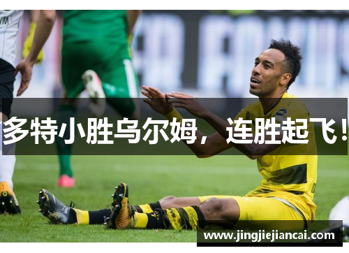 多特小胜乌尔姆，连胜起飞！